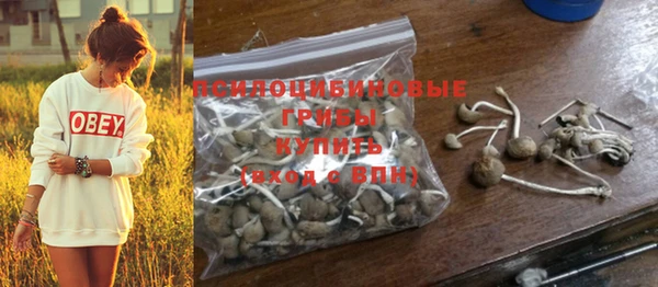 PSILOCYBIN Верхнеуральск