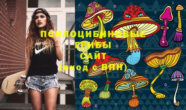 PSILOCYBIN Верхнеуральск