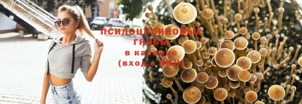 PSILOCYBIN Верхнеуральск
