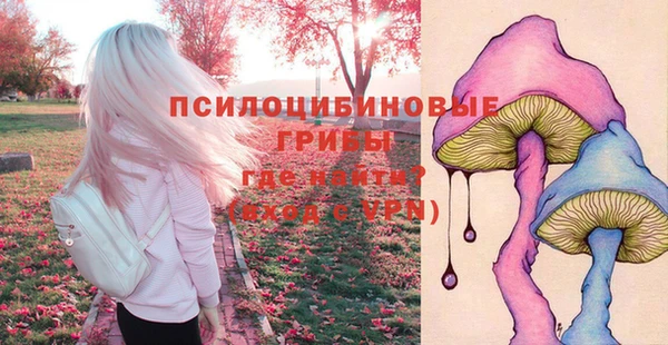 ECSTASY Верея
