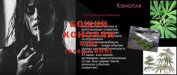 ECSTASY Верея
