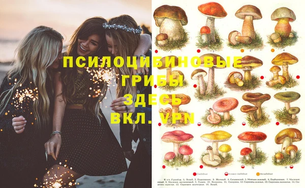 PSILOCYBIN Верхнеуральск