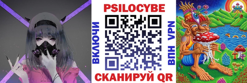 Купить  Великий Устюг  Галлюциногенные грибы Cubensis 