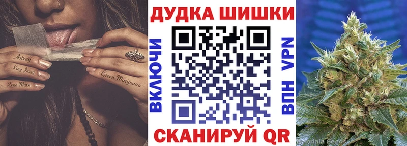 Бошки Шишки THC 21%  Купить закладки  Великий Устюг 